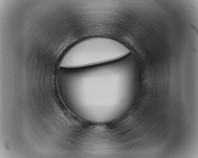 X0000103130548200808221044