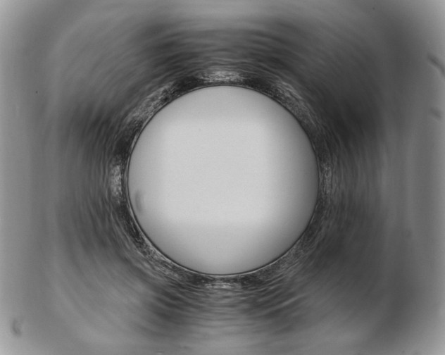 X0000103130549200808221044