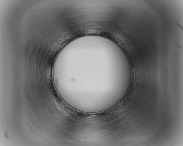 X0000103130550200808221044