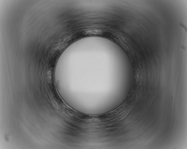 X0000103130551200808221044