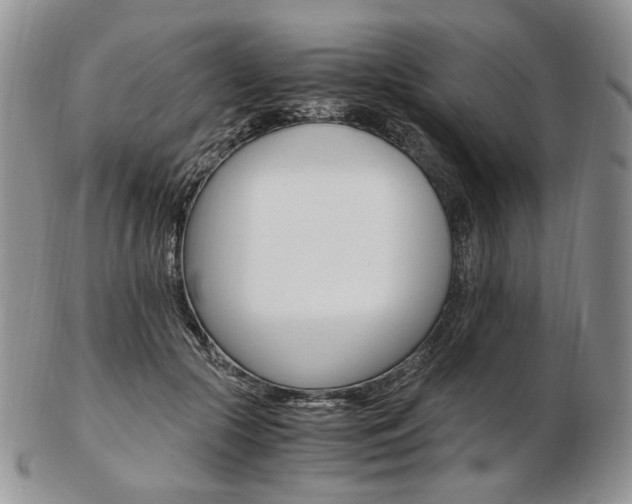 X0000103130553200808221044