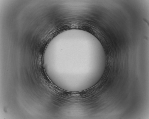 X0000103130554200808221044