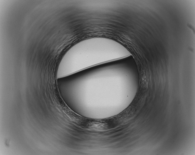 X0000103130555200808221044