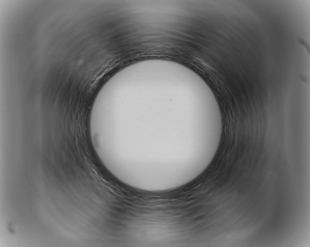 X0000103130556200808221044
