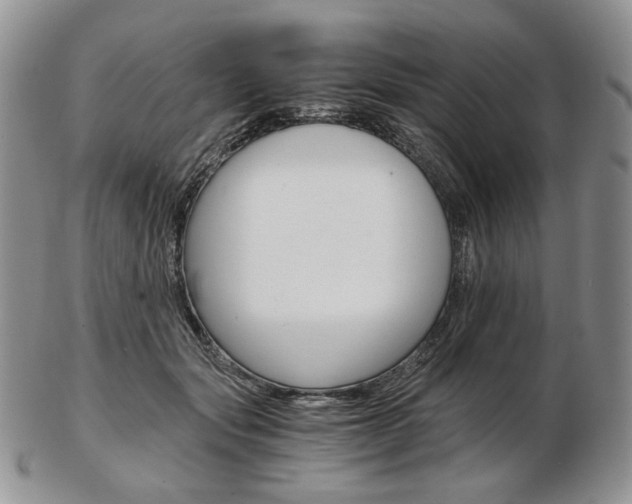 X0000103130557200808221044