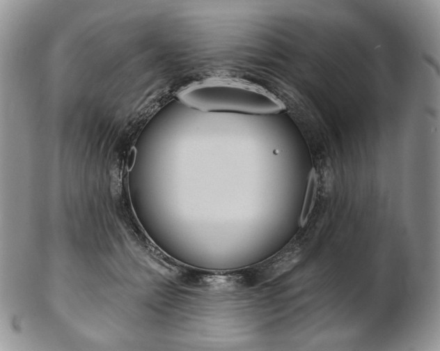 X0000103130558200808221044