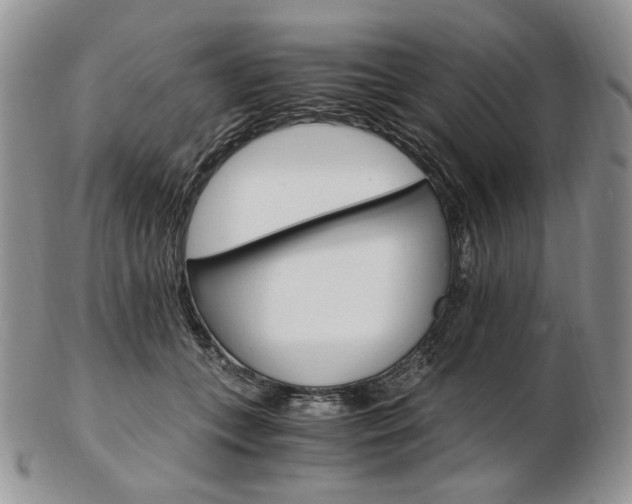 X0000103130559200808221044