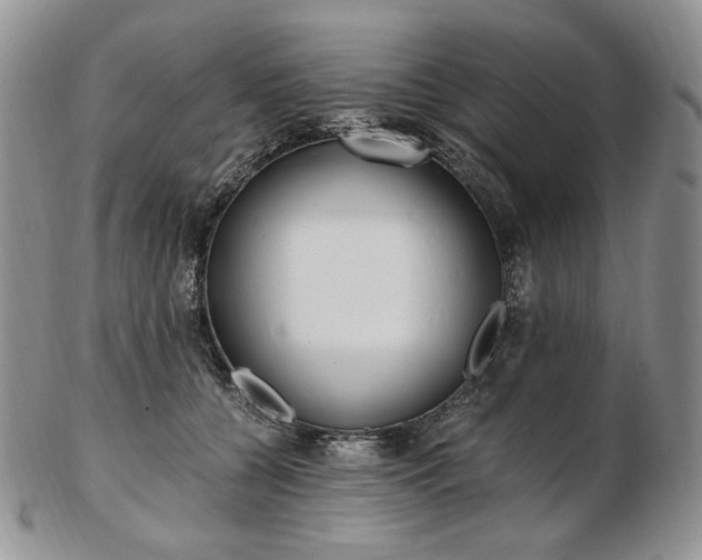 X0000103130560200808221044