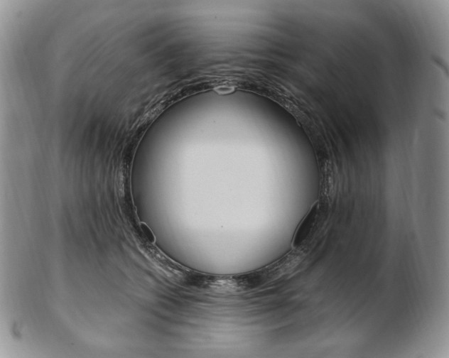 X0000103130562200808221044