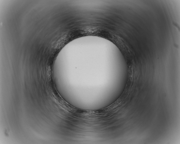 X0000103130563200808221044