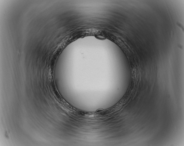 X0000103130564200808221044