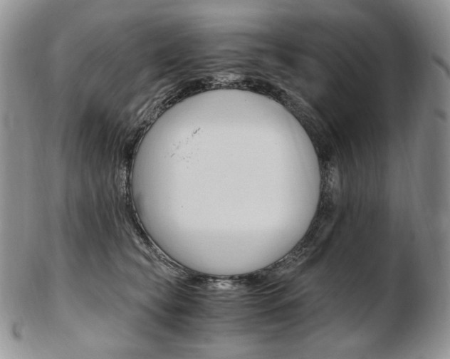X0000103130565200808221044