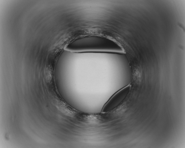 X0000103130566200808221044
