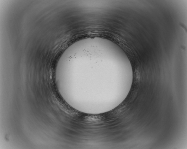 X0000103130567200808221044