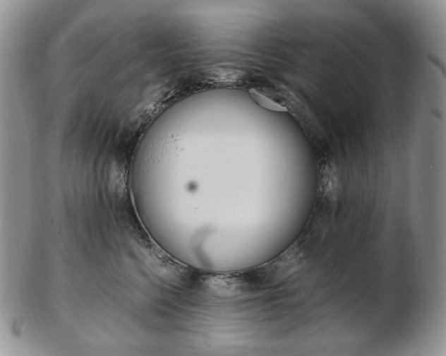 X0000103130568200808221044