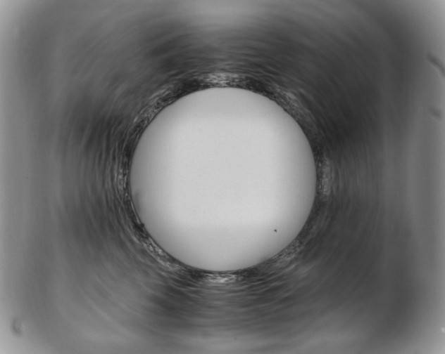 X0000103130569200808221044