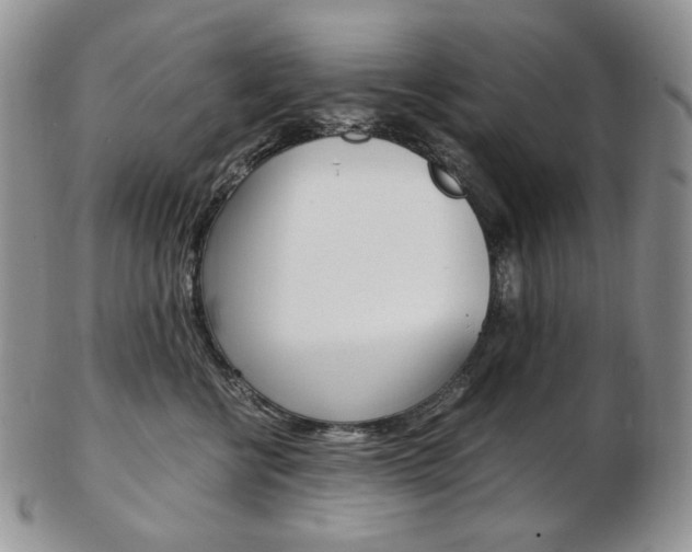 X0000103130570200808221044