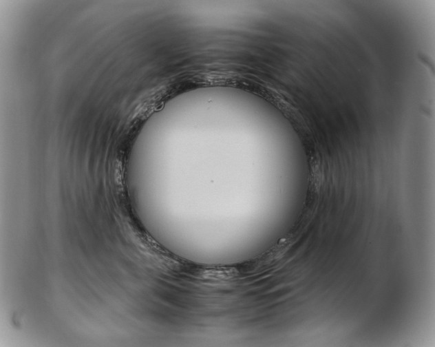 X0000103130571200808221044