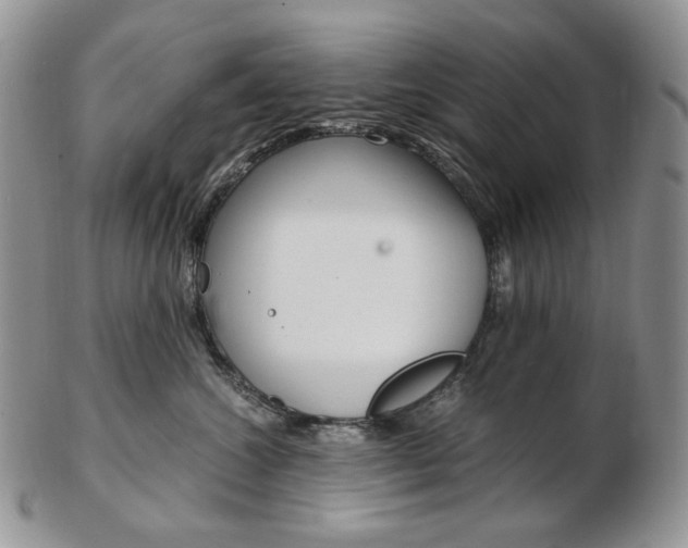 X0000103130572200808221044