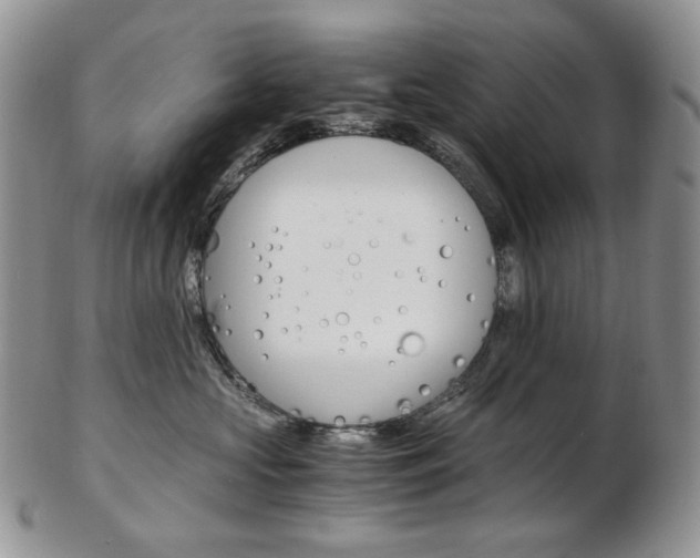 X0000103130573200808221044
