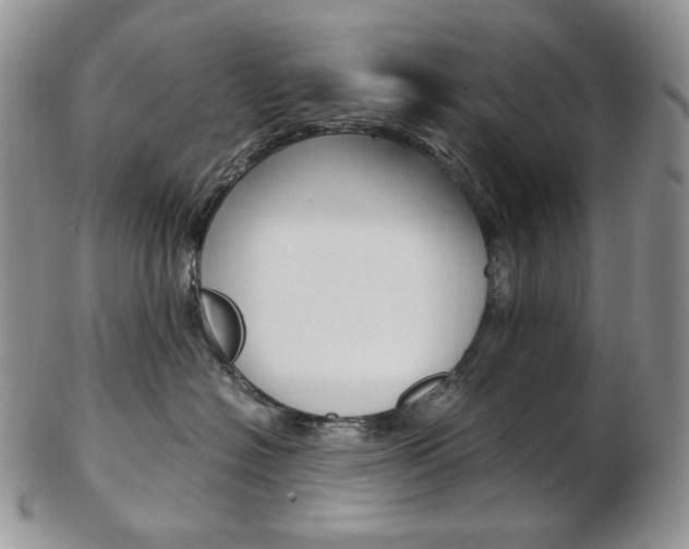 X0000103130574200808221044