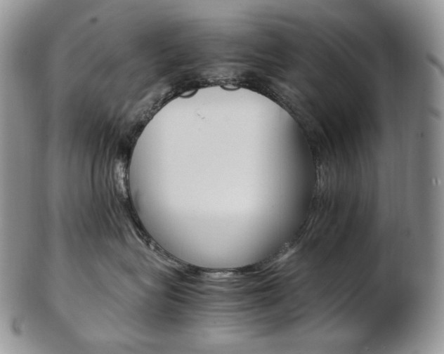 X0000103130575200808221044