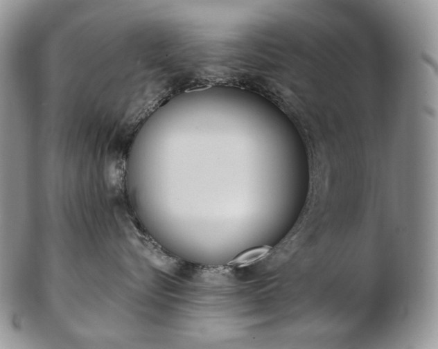 X0000103130576200808221044