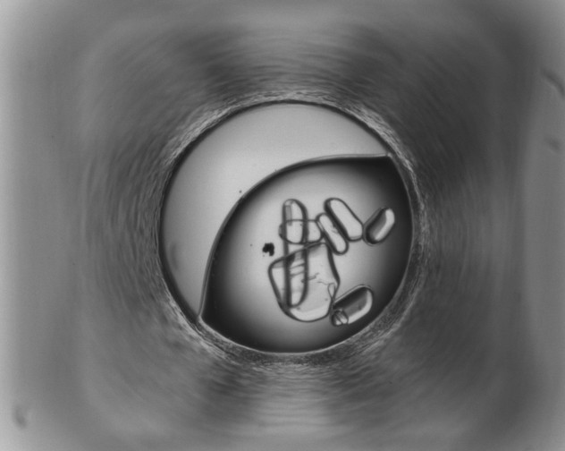X0000103130577200808221044