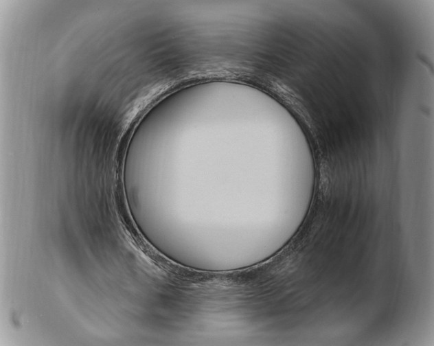 X0000103130578200808221044