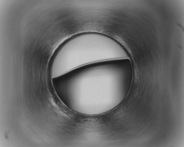 X0000103130580200808221043