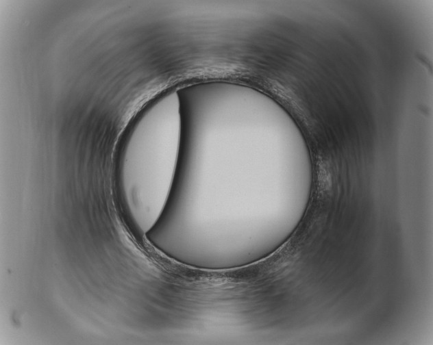 X0000103130582200808221043