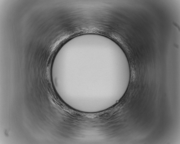 X0000103130583200808221043