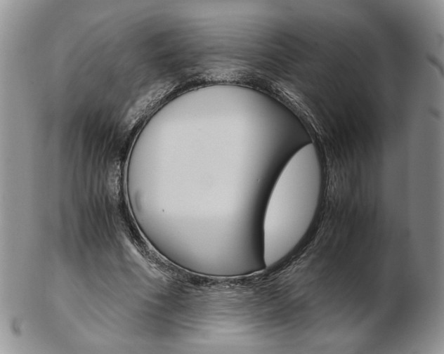 X0000103130586200808221043