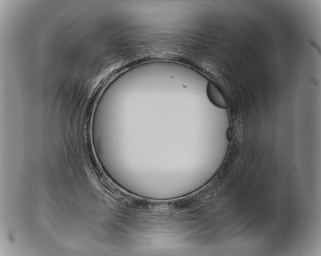 X0000103130587200808221043