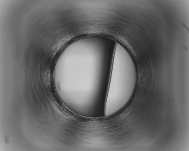 X0000103130588200808221043