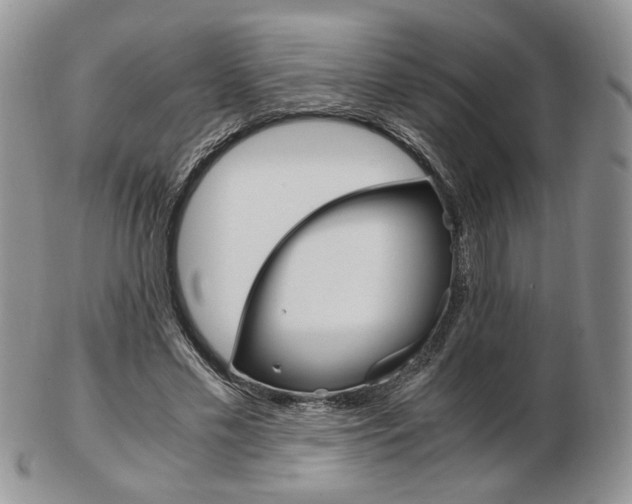 X0000103130589200808221043