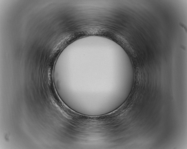X0000103130590200808221043