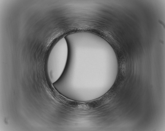 X0000103130591200808221043