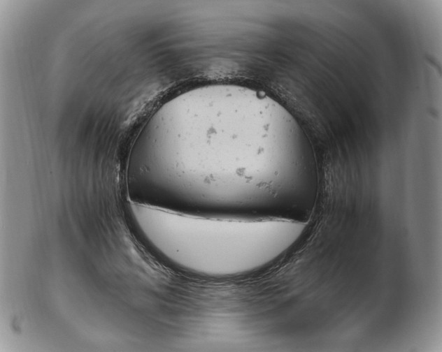 X0000103130592200808221043