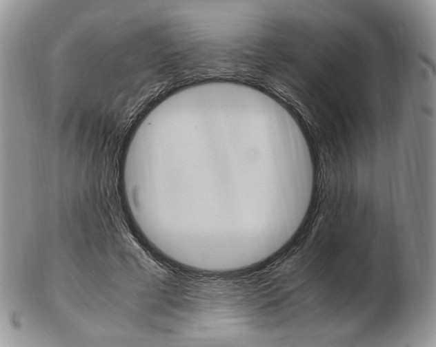 X0000103130593200808221043
