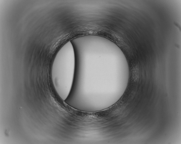 X0000103130594200808221043