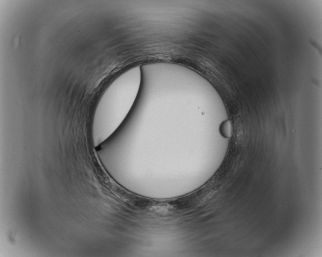 X0000103130595200808221043