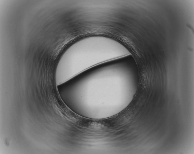 X0000103130596200808221043