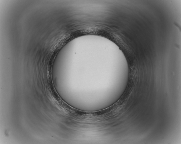 X0000103130597200808221043