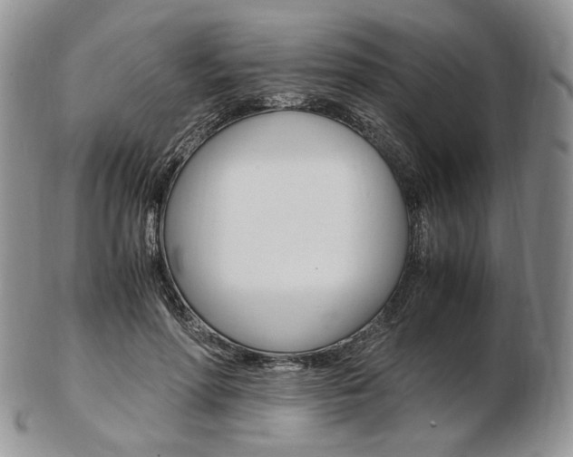 X0000103130598200808221043