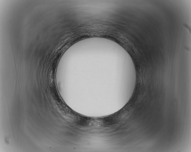 X0000103130599200808221043