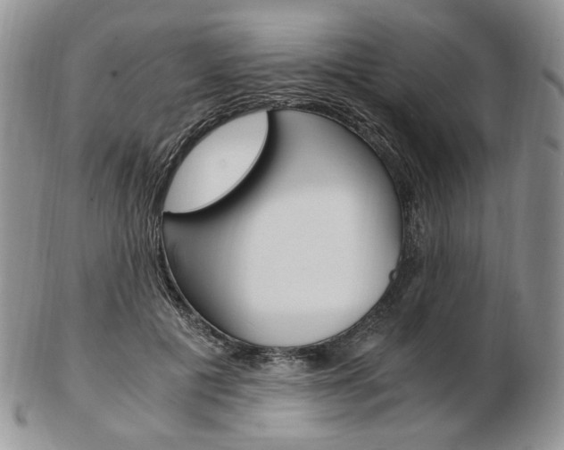 X0000103130601200808221043