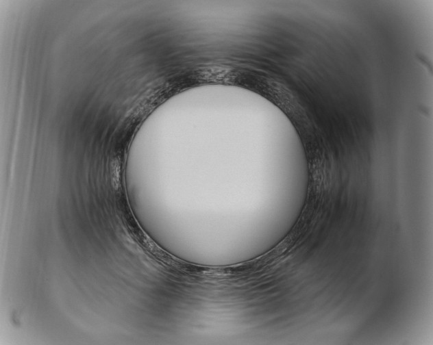 X0000103130602200808221043