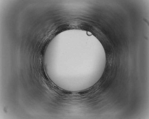 X0000103130603200808221043