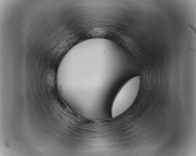 X0000103130604200808221043